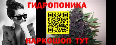 прущие крисы Будённовск