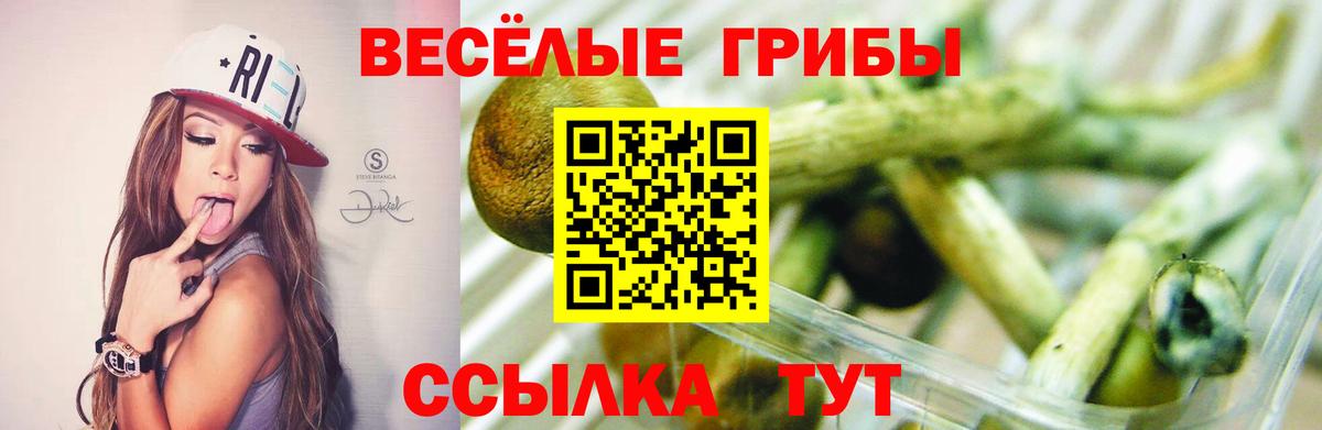 Псилоцибиновые грибы MAGIC MUSHROOMS  Вход с VPN  Галлюциногенные грибы Psilocybe  Строитель 